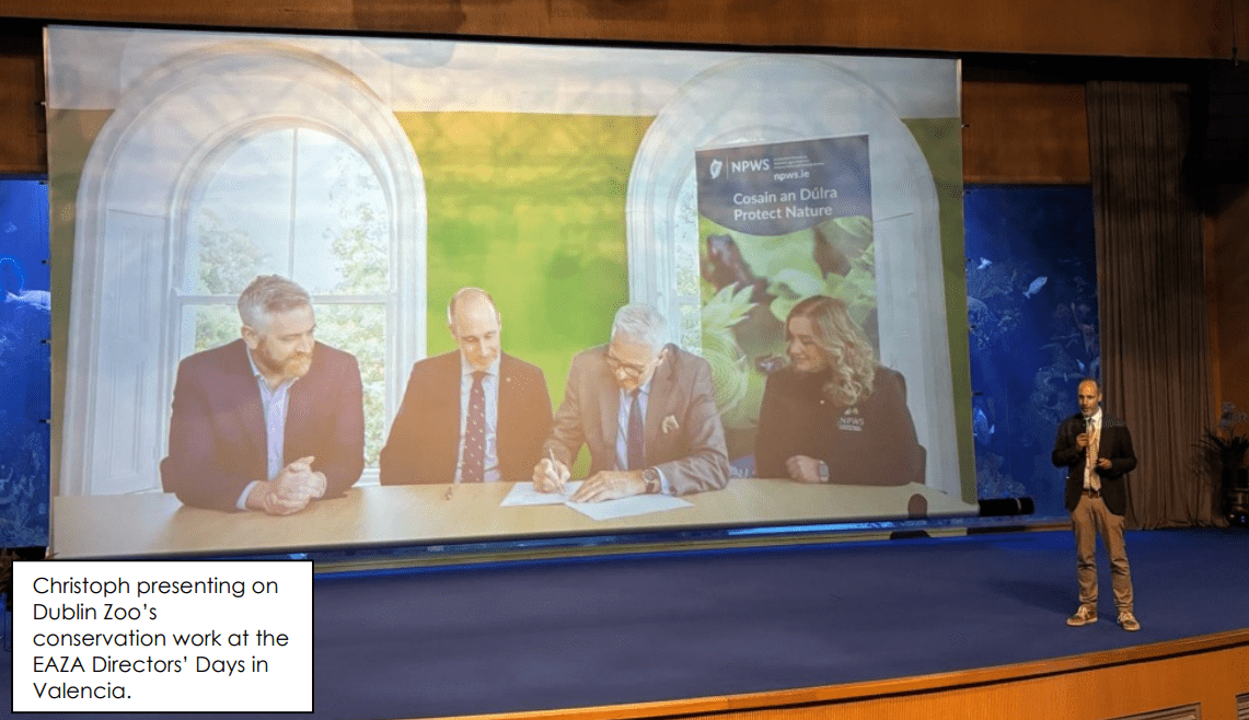 Dublin Zoo’s Dr Christoph Schwitzer Chosen to Lead Europe’s Top Zoo Association, EAZA