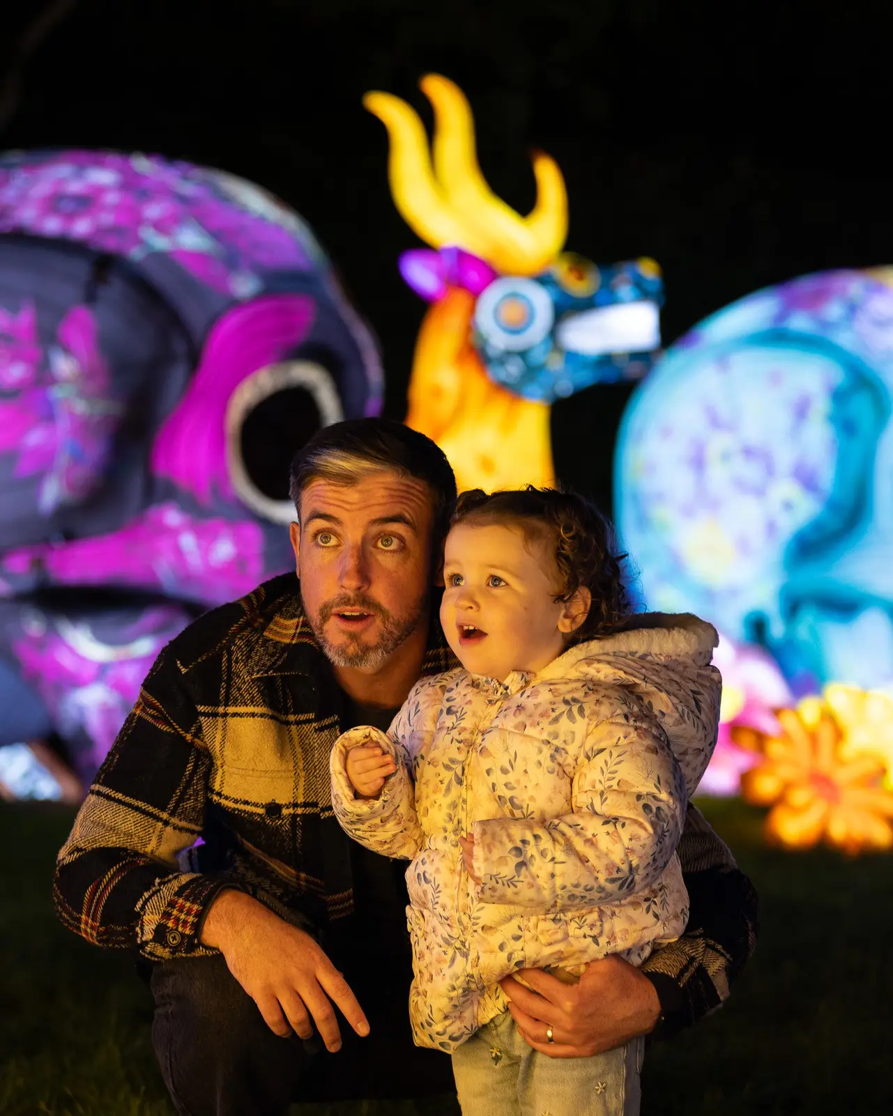 PB26097_DZ_WILDLIGHTS_386
