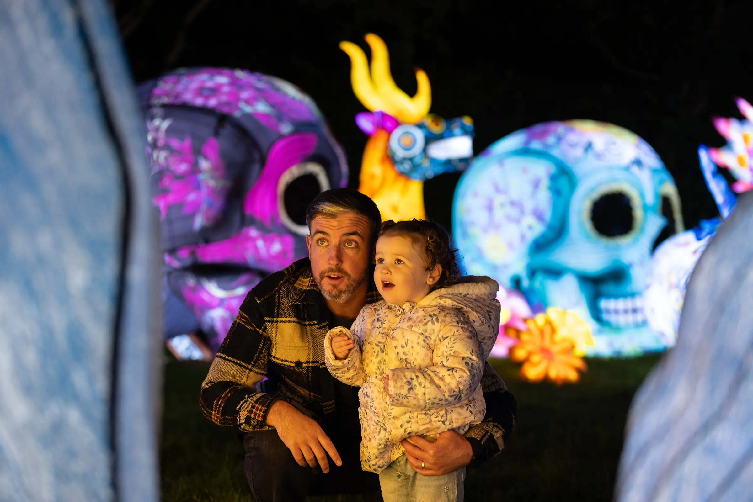 PB26097_DZ_WILDLIGHTS_386