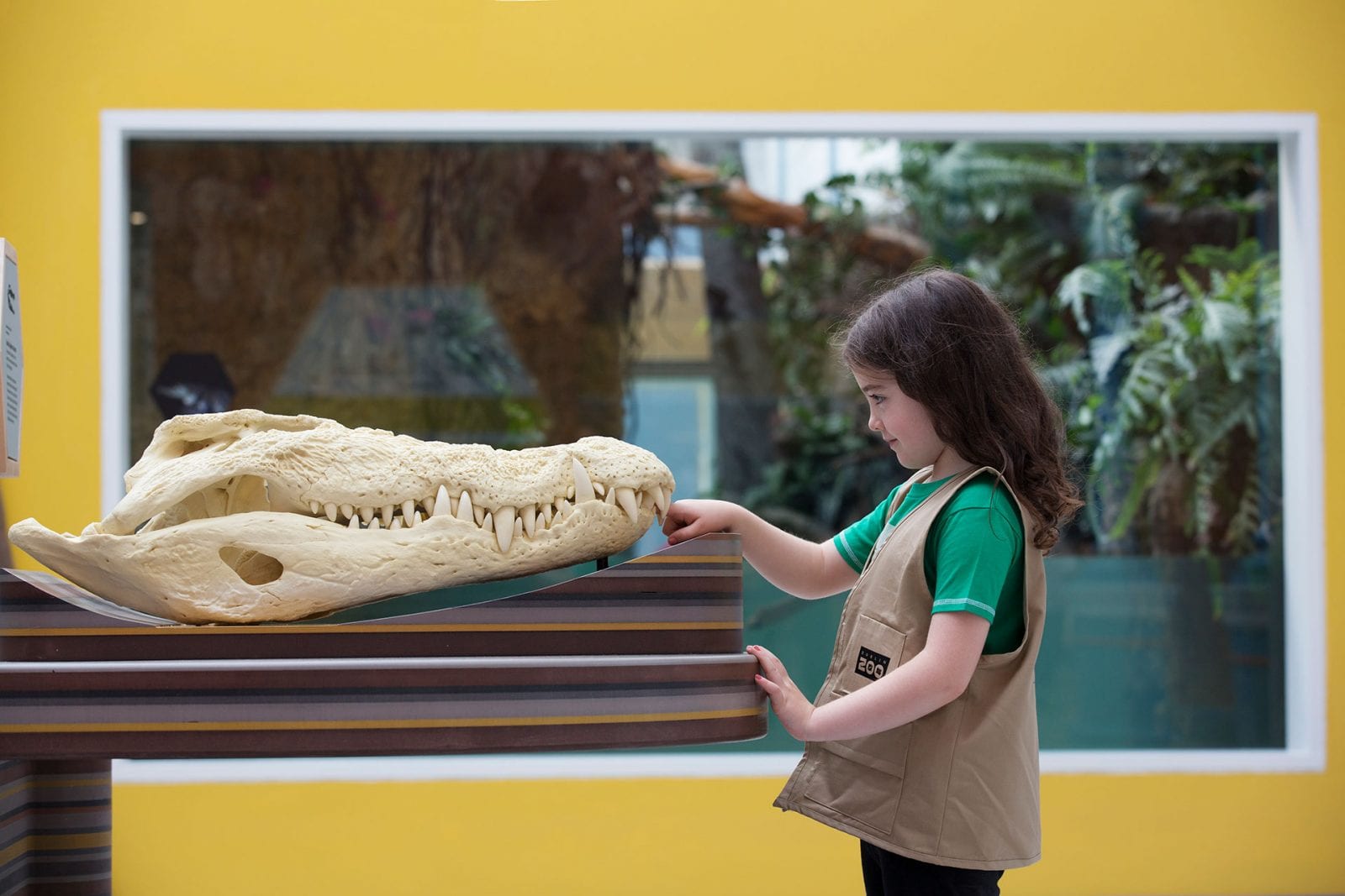 The Habitats Dublin Zoo