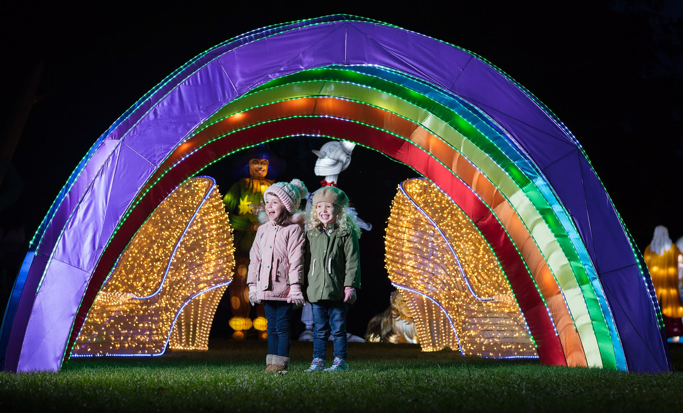 Wild Lights at Dublin Zoo