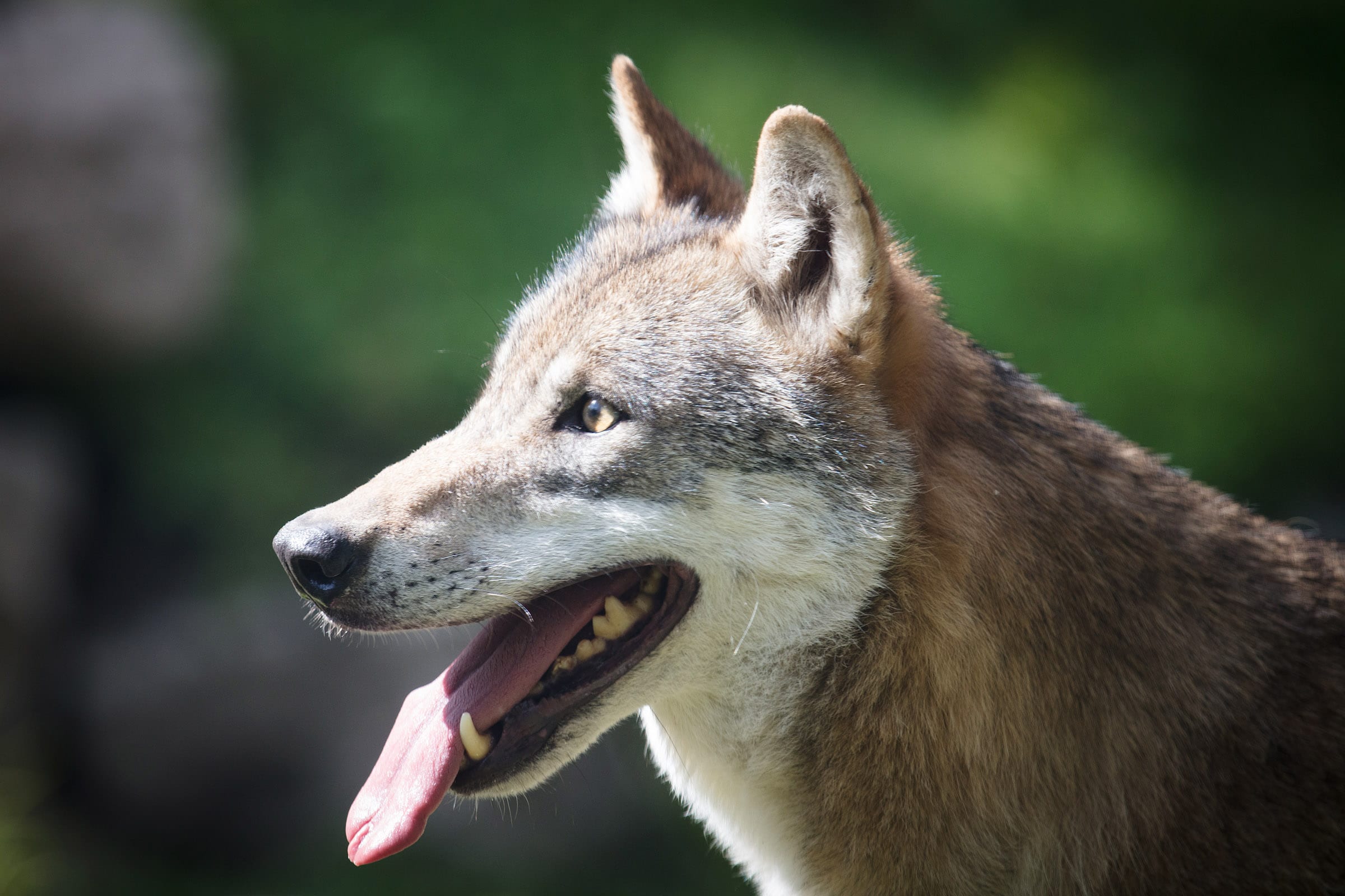 Half Price Adult Tickets Until the End of 2019!