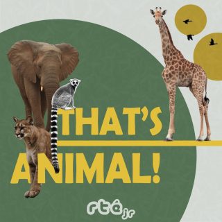 "That’s Animal!” Podcast - Dublin Zoo