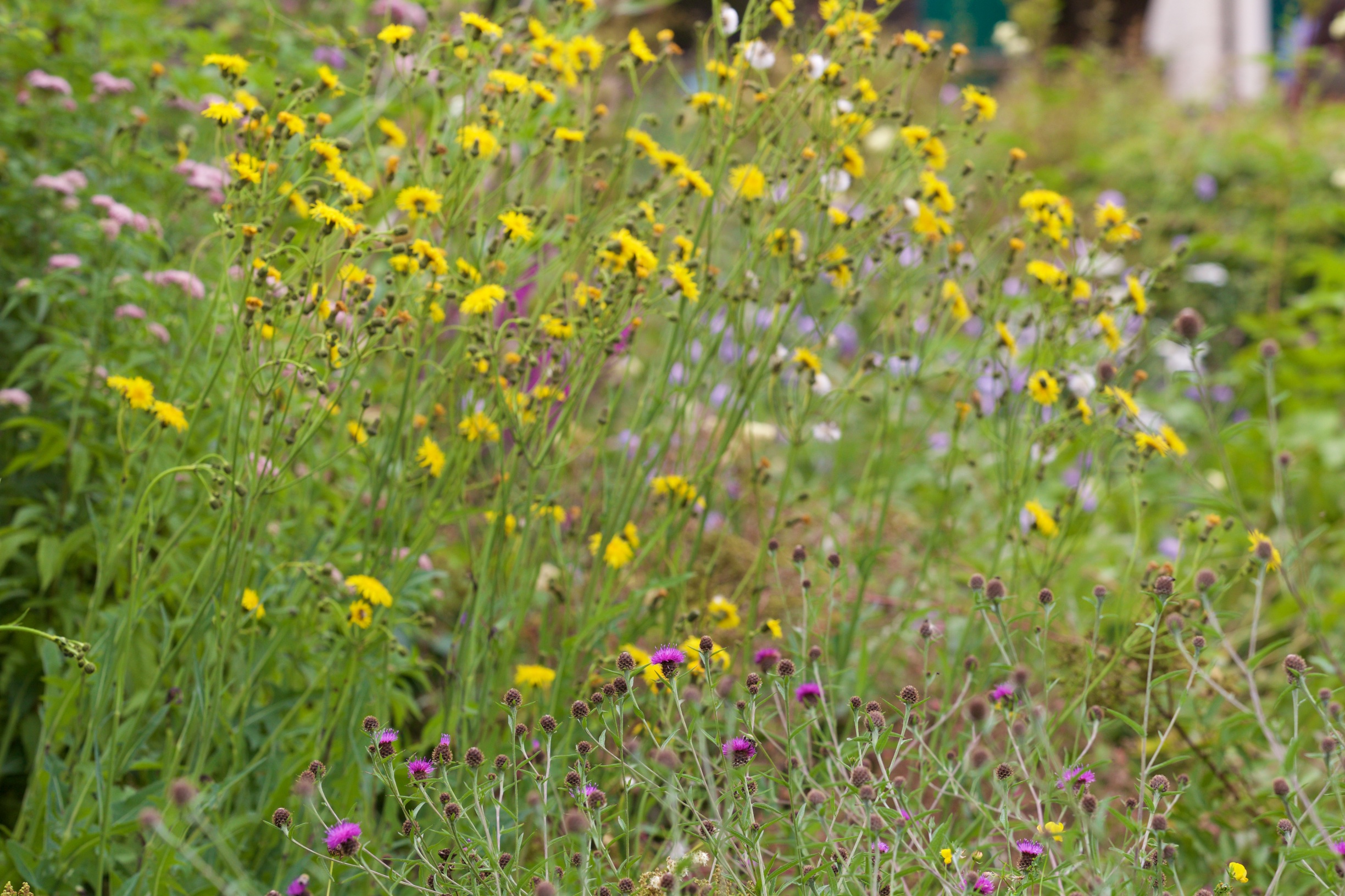 There’s a buzz around Dublin Zoo
