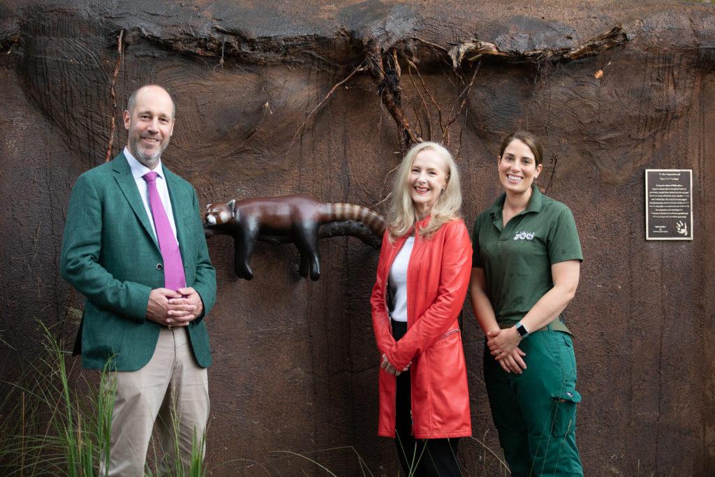 Dublin Zoo offers half price tickets in celebration of International