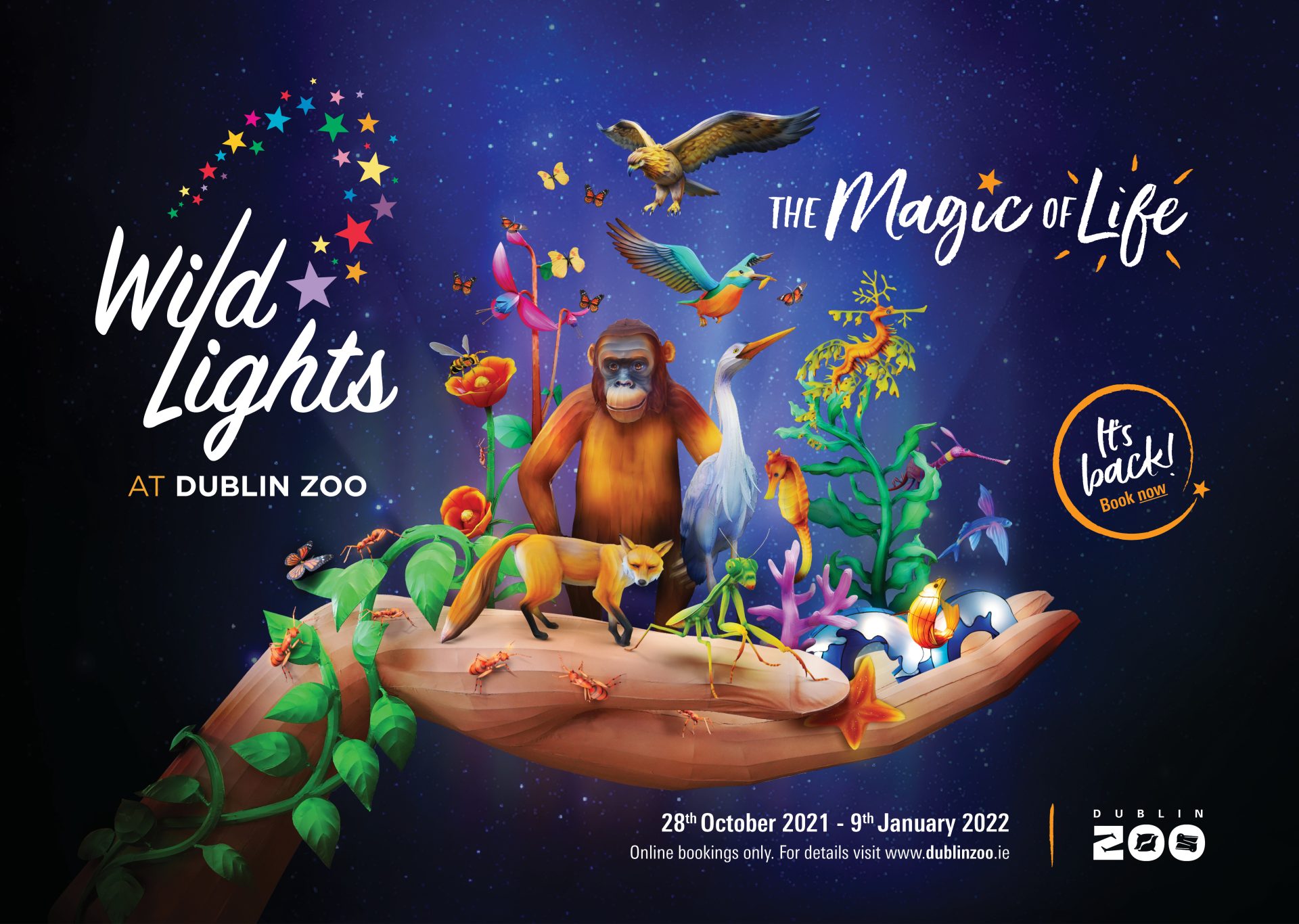 Wild Lights 2022/2021 The Magic of Life! Dublin Zoo