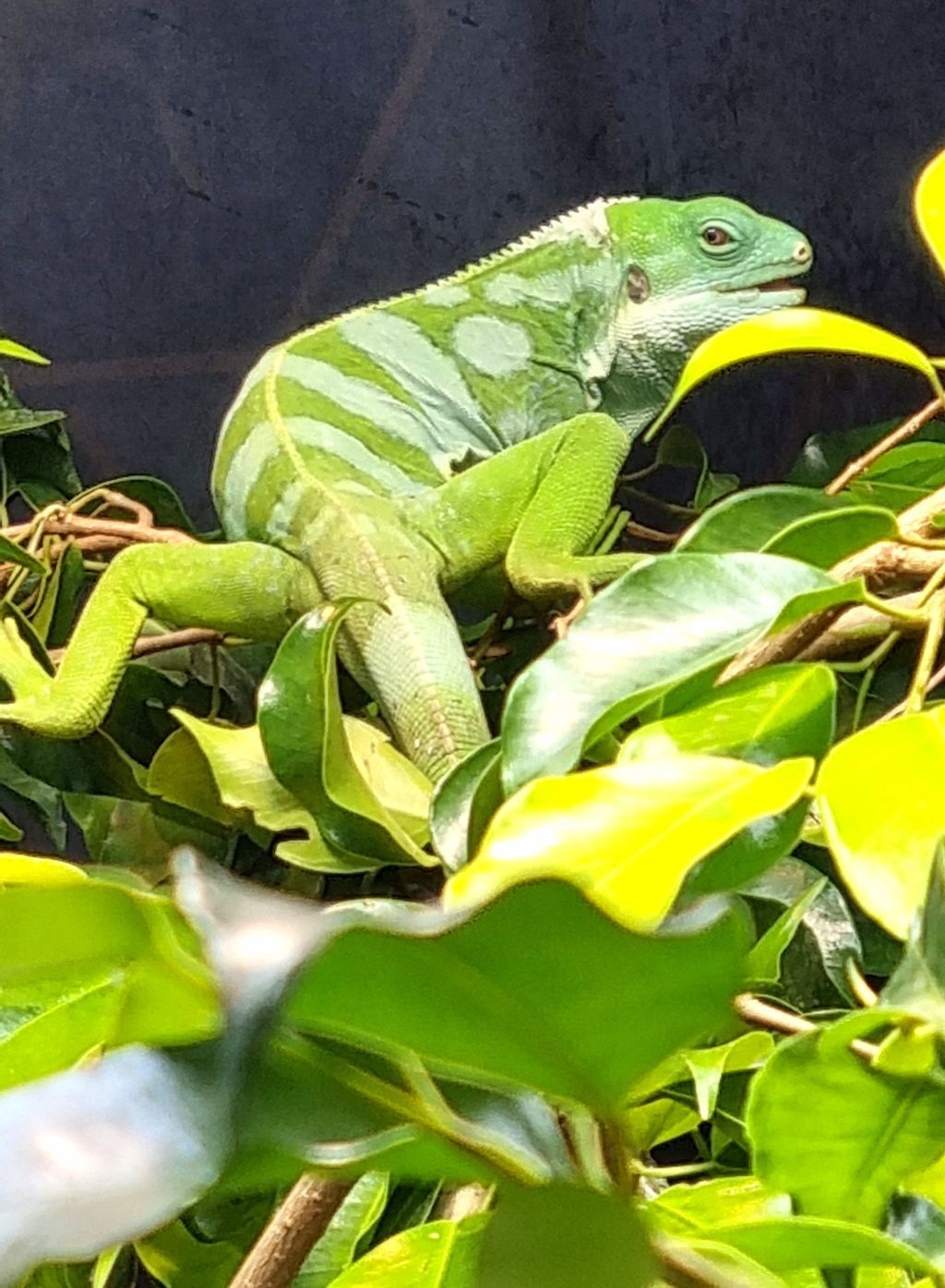 20230629_125407-1024x1396