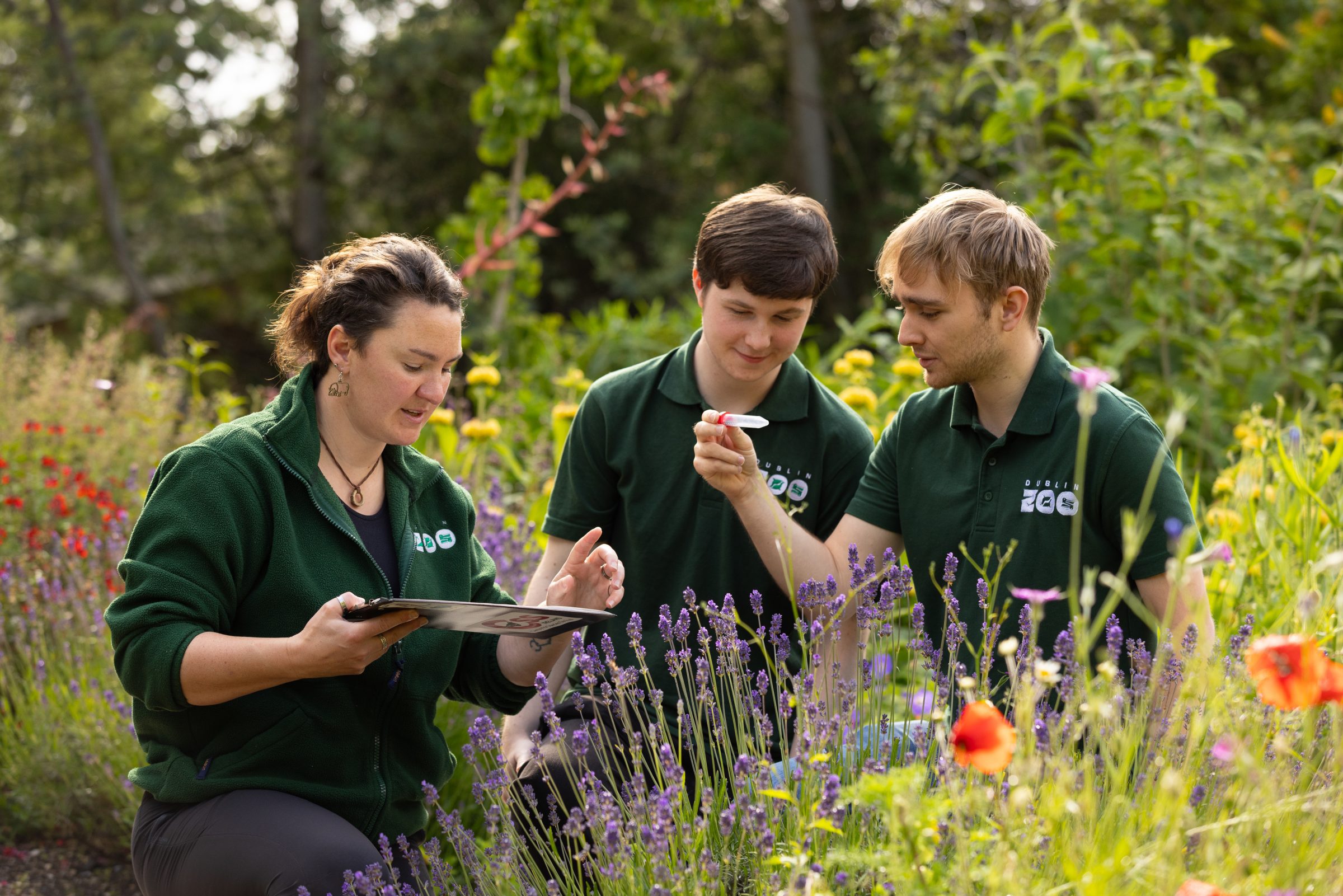 Native Species Spotted on Site at Dublin Zoo