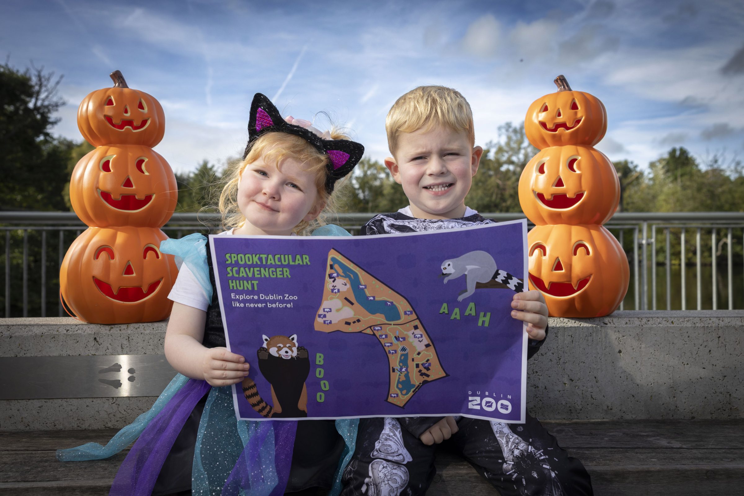 Boo at the Zoo: Spooktacular Halloween Celebrations at Dublin Zoo!