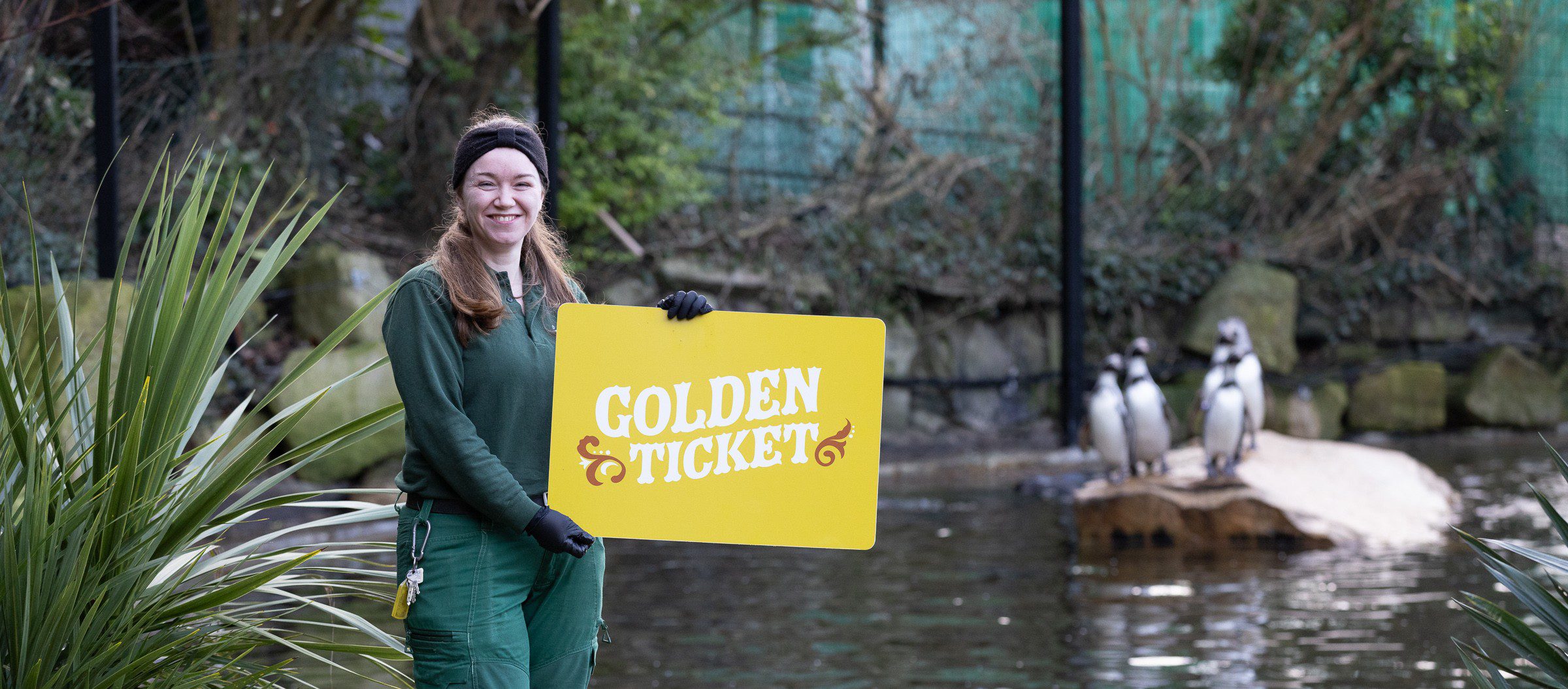 Waddle Away the Winter Blues: Dublin Zoo Golden Ticket competition