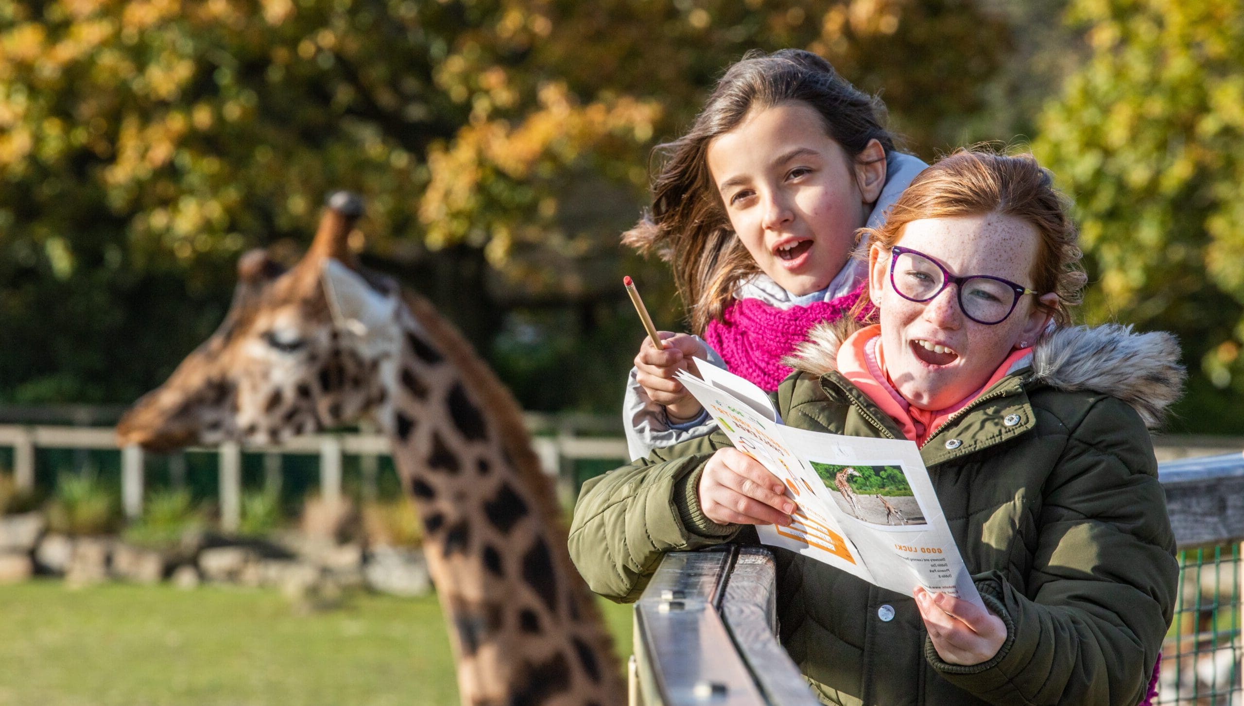 Activity Workbooks Library - Dublin Zoo